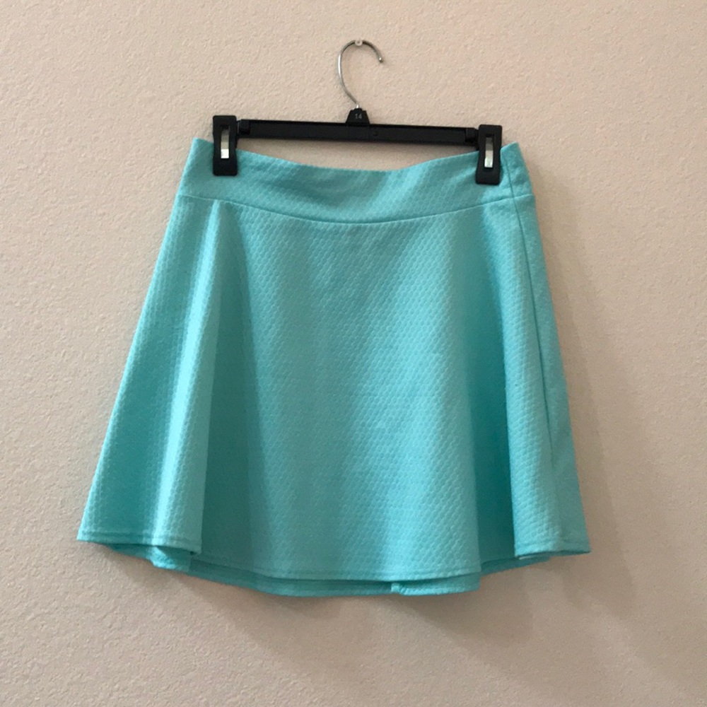 Charlotte Russe Mint Green Skater Skirt - Picture 3 of 4